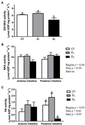 Dysregulation of Intestinal Physiology by Aflatoxicosis in the Gilthead Seabream (Sparus aurata)